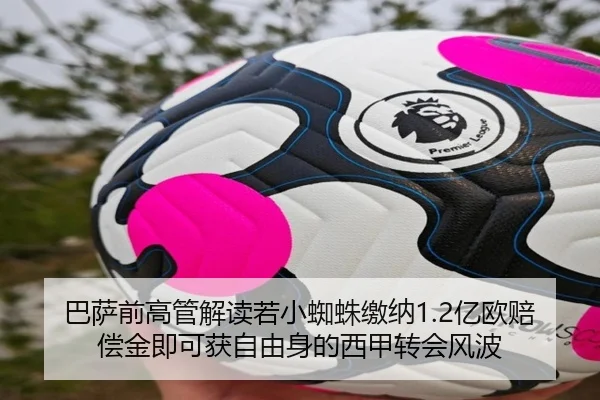 巴萨前高管解读若小蜘蛛缴纳1.2亿欧赔偿金即可获自由身的西甲转会风波